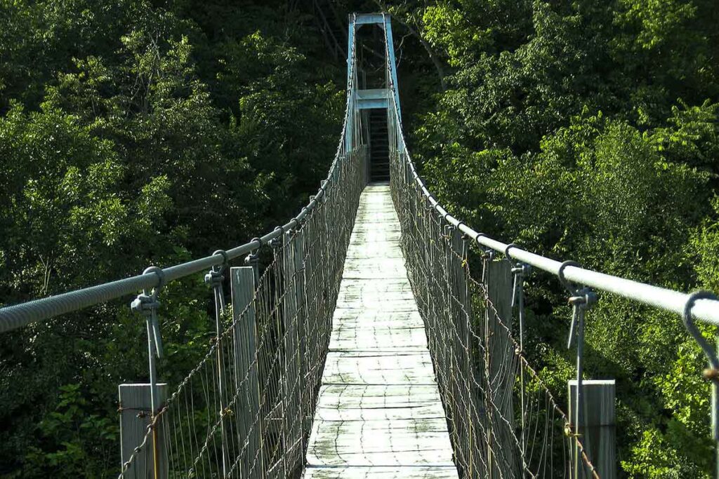 hanging bridge