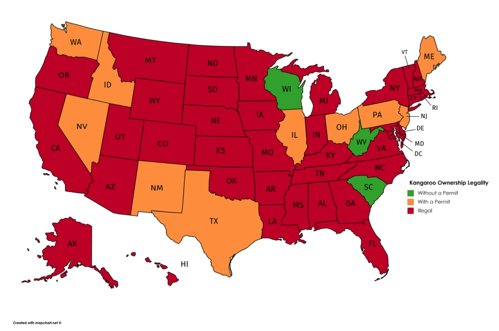 Kangaroo Ownership Legality